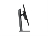 Lenovo ThinkVision P32p-30 31.5" 60 Hz Black